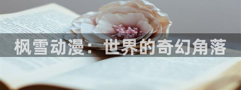 178动漫之家官网