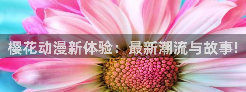 78动漫官网网站