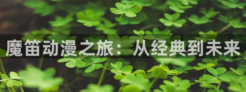 78动漫.