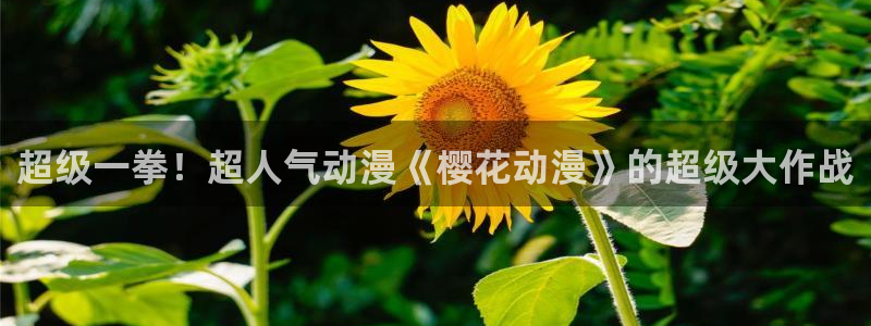 78动漫怎么打不开了